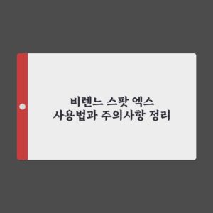 비렌느 스팟 엑스 사용법과 주의사항 정리